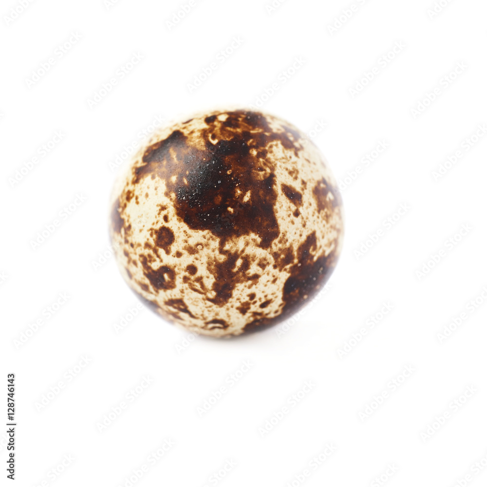 Obraz premium Quail egg isolated over white background