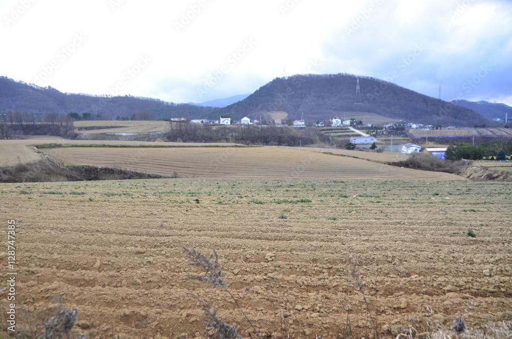 Fototapeta premium 겨울