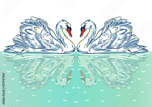 Vector illustration with handdrawn Swan
