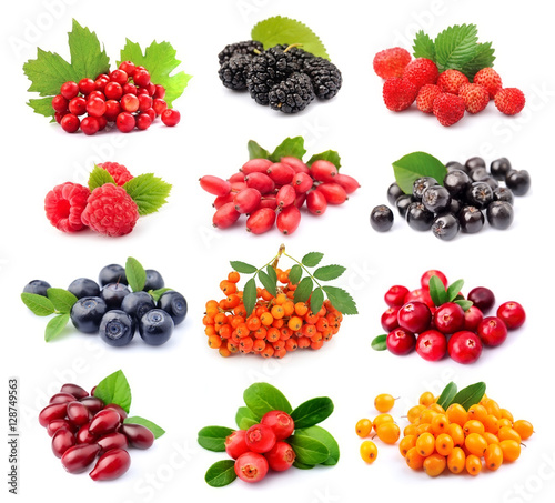 Collage of wild berry isolated