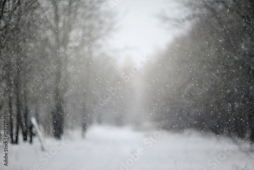 Christmas background, trees in frost. blurred , bokeh, new year © maximgurtovoy
