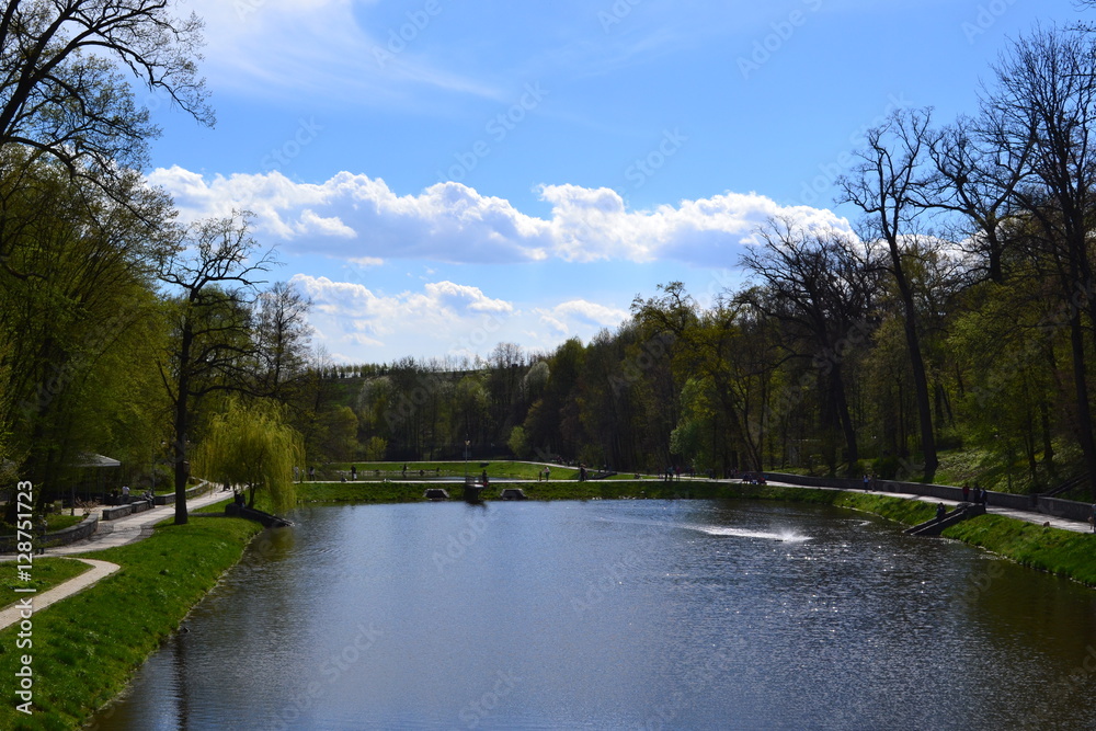 Fototapeta premium Beautiful park