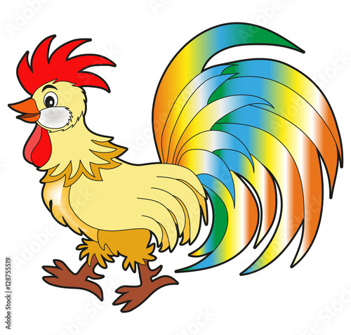 Vector illustration of colored cock cartoon isolated on white, gallo colorato vettoriale cartoon