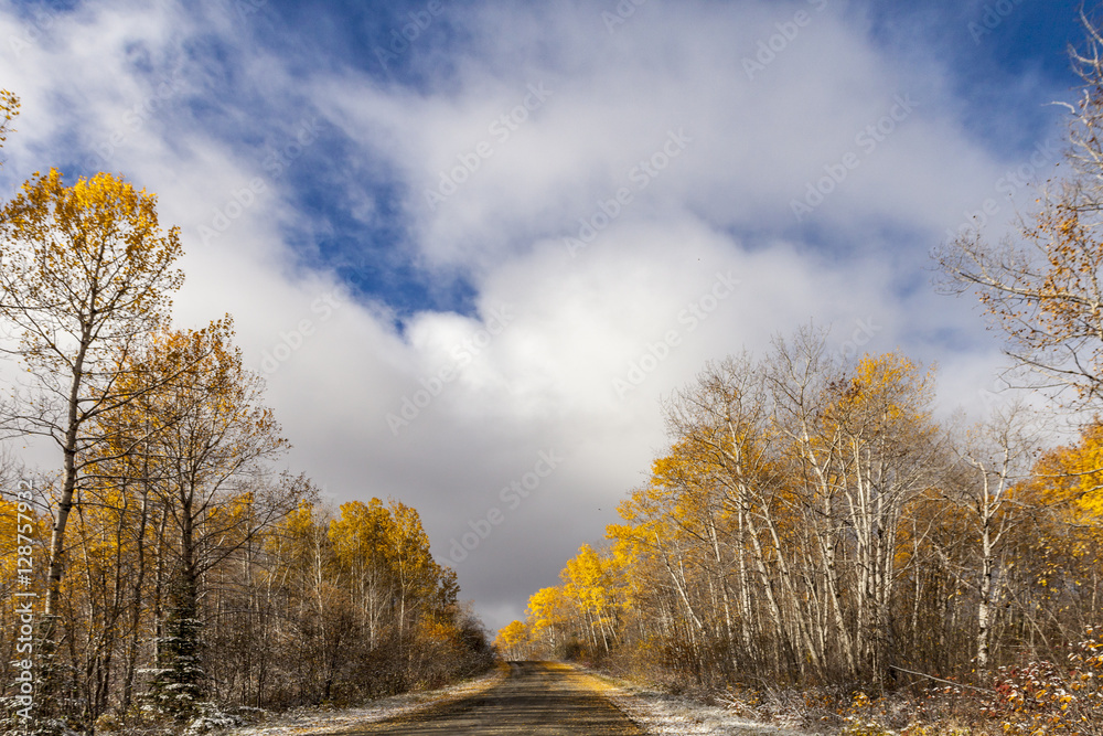 fall in the country