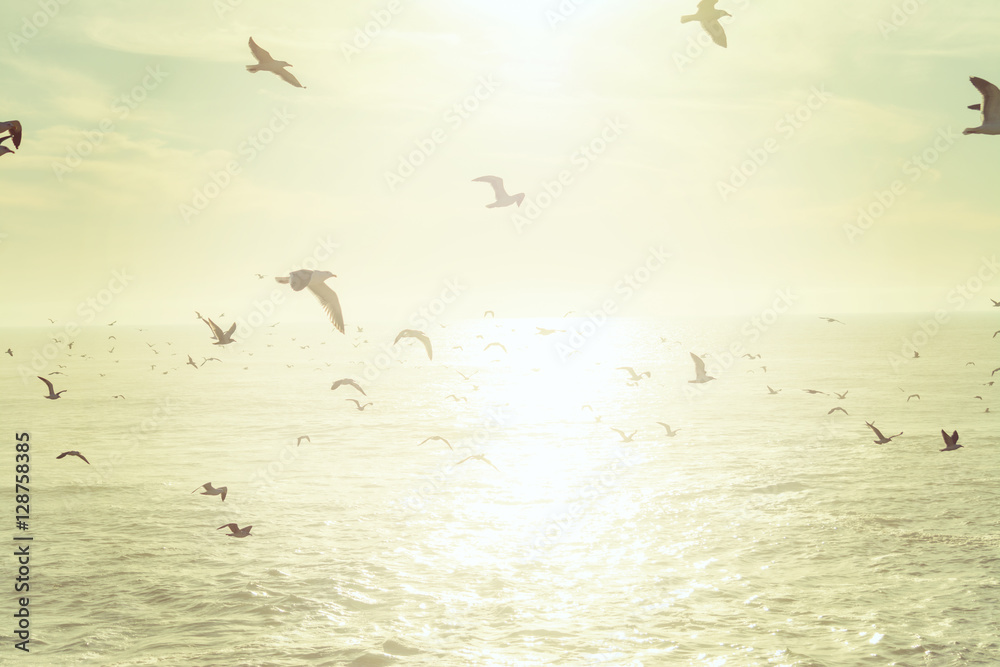 Fototapeta premium Flock of seagulls flying over the sea