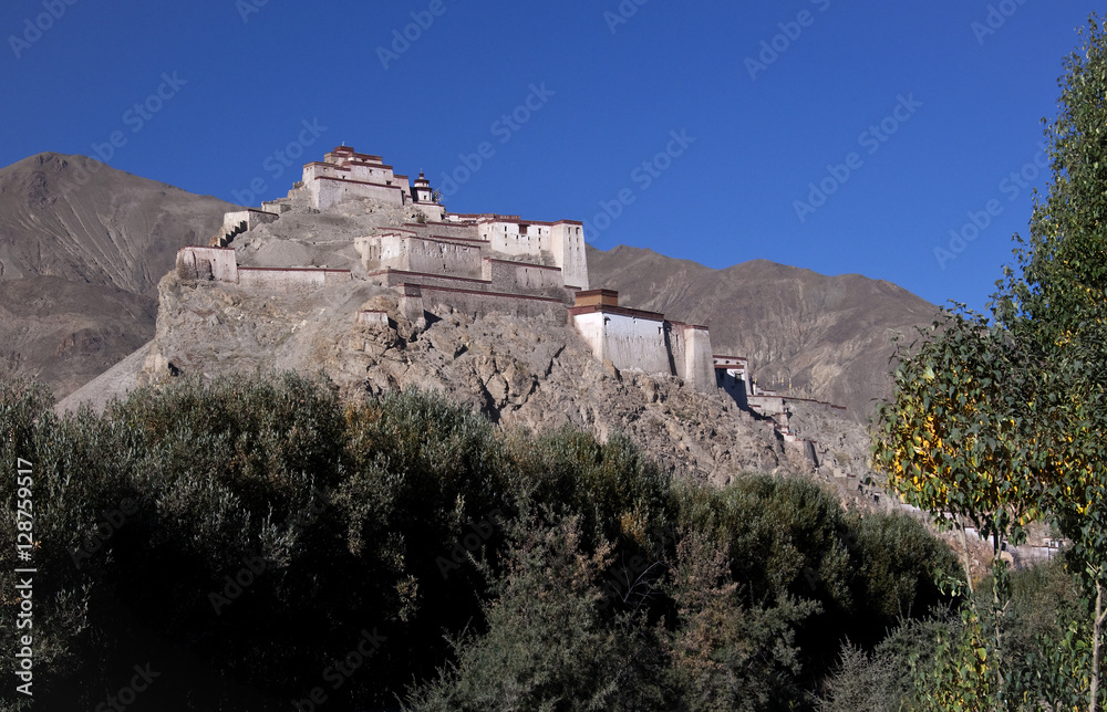 Gyantse Fortress in Tibet