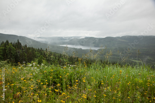 Gros Morne vista