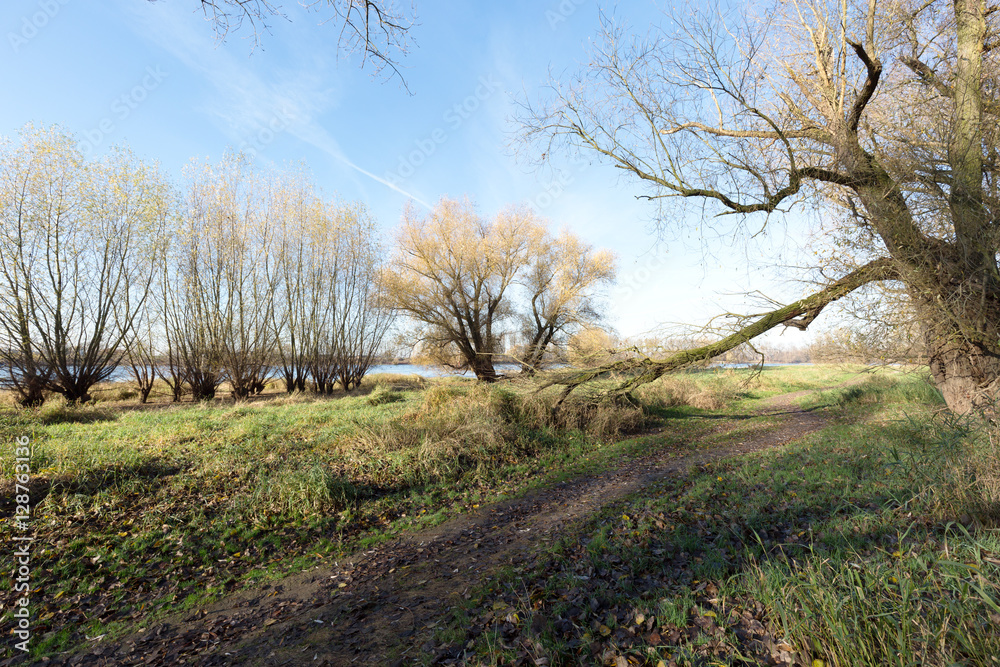 River Rhine Hiking trail is blocked by Tree / Germany River Rhine Hiking trail is blocked by Tree / Germany