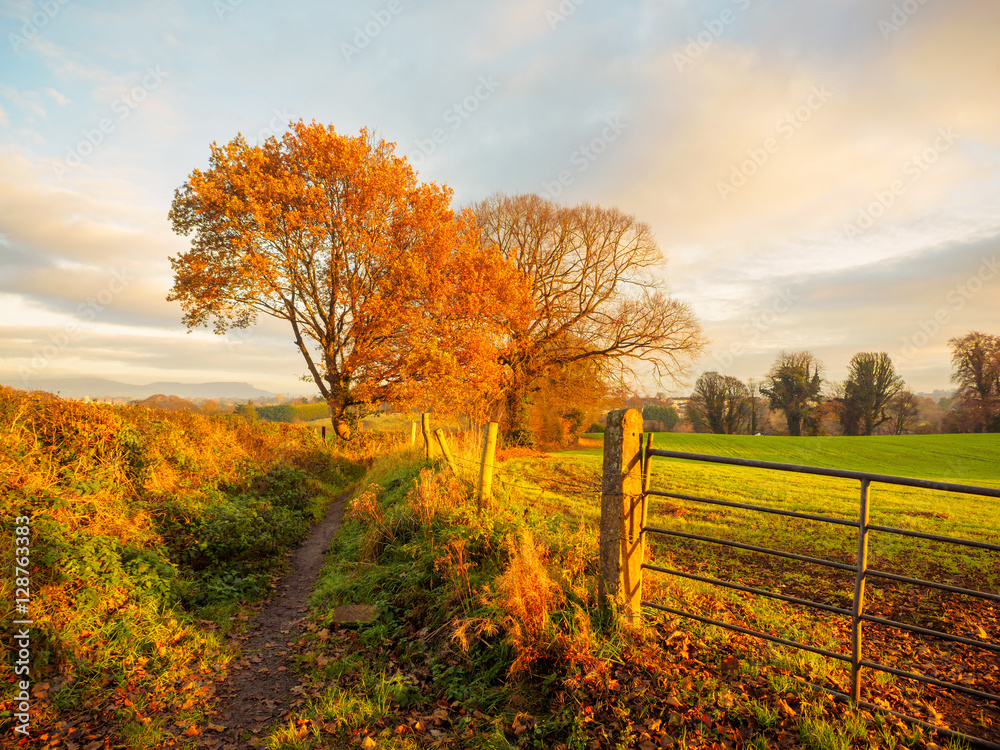 Naklejka premium Northern Ireland countryside sunrise