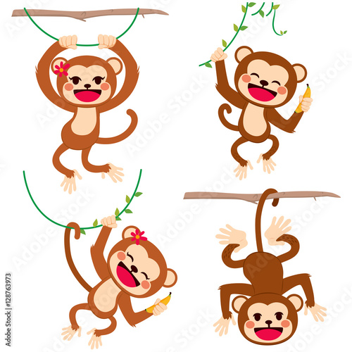 Cute funny set of monkeys playing hanging on branches and lianas