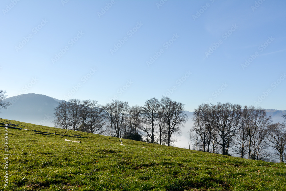 Natur einsamer Baum Sonne und Landschaft Natur einsamer Baum Sonne und Landschaft