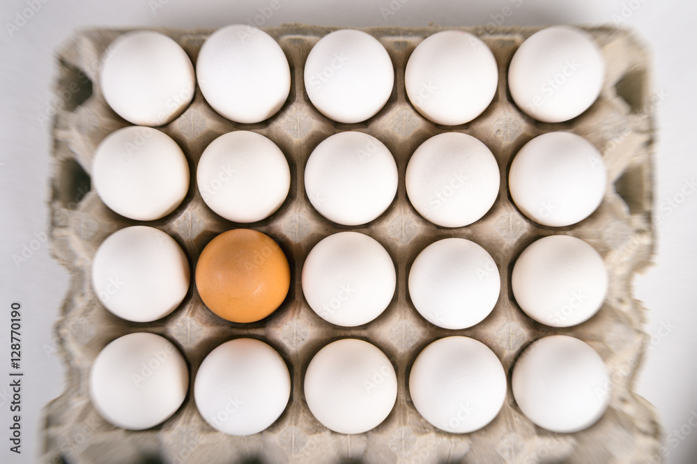 Brown egg surrounded by white eggs. Individuality and difference Brown egg surrounded by white eggs. Individuality and difference