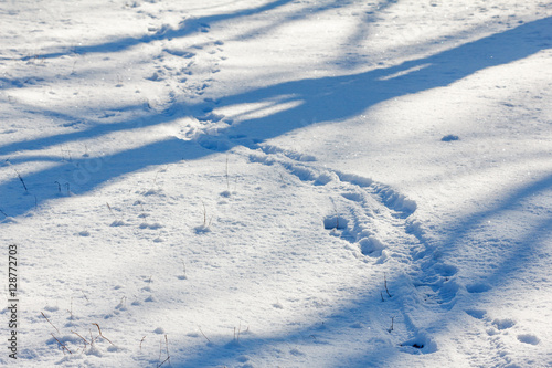 Footprints in snow and tree shadow. Winter landscape