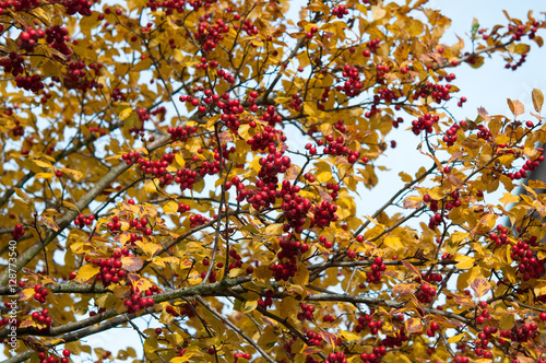 Herbst. Ruhe und Entspannung. Erntezeit