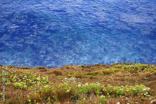 Seaside Background - Clifftop View of the Ocean
