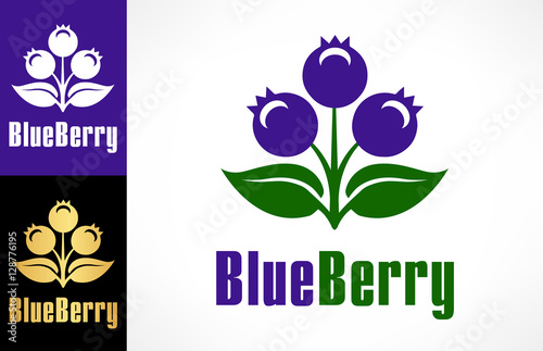Bilberry logo. Blackberry illustration. Blueberry vector.
