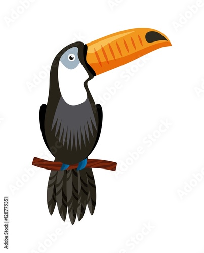 toucan bird icon over white background. brazil culture concept. colorful design. vector illustration