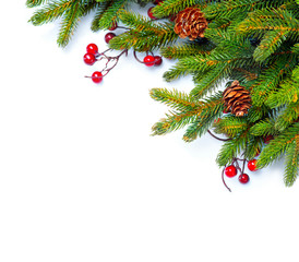 Christmas tree with cones border isolated on a white background