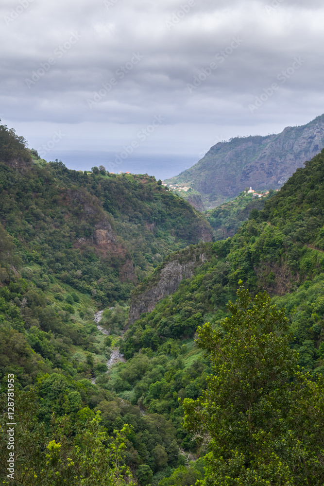 Breathtaking panorama in the heart of Madeira Island, Ribeiro Frio, Madeira, Portugal, Europe