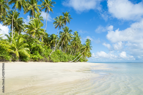 Fototapeta Naklejka Na Ścianę i Meble -  Bright scenic view of an empty, palm-fringed tropical beach on the Costa dos Coqueiros Coconut Coast in northeast Nordeste Bahia, Brazil