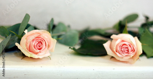 różowe, łososiowe róże