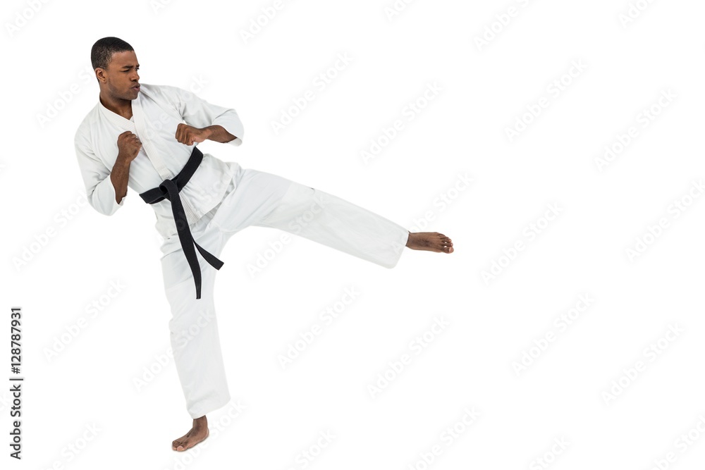 Fighter performing karate stance Fighter performing karate stance