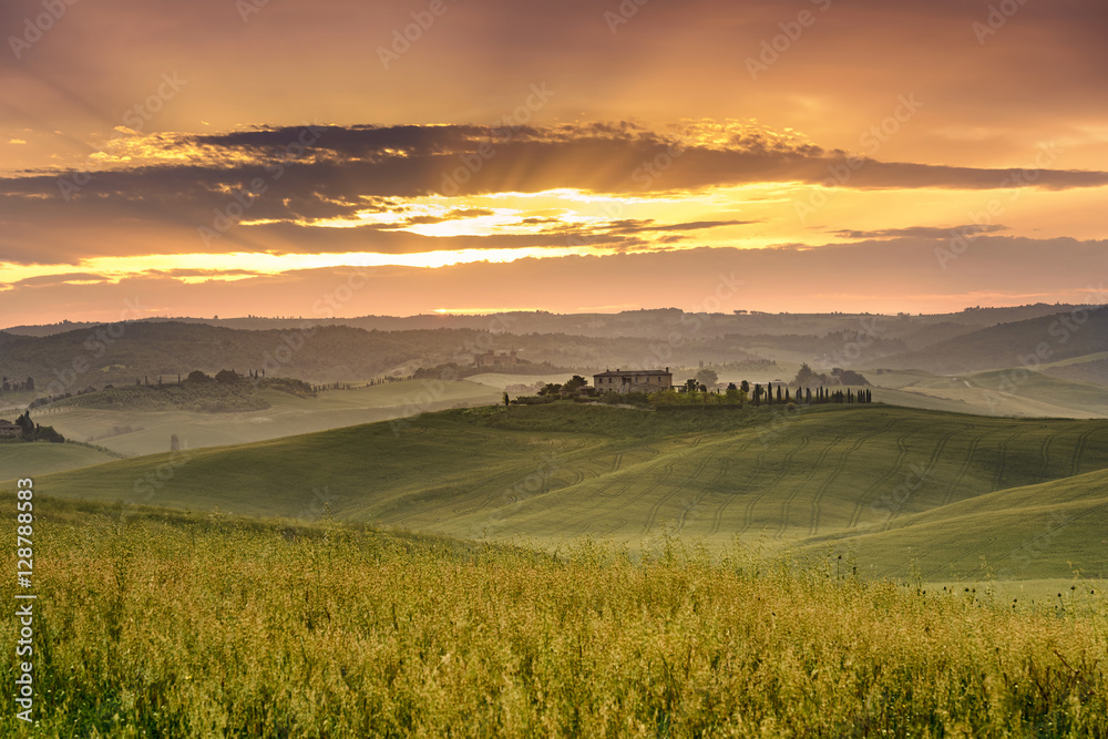 Obraz premium typical Tuscan landscape with rolling hills at the sunset
