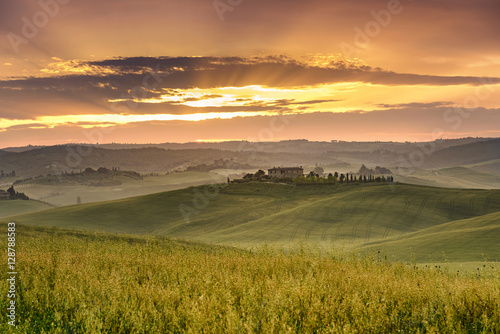 typical Tuscan landscape with rolling hills at the sunset