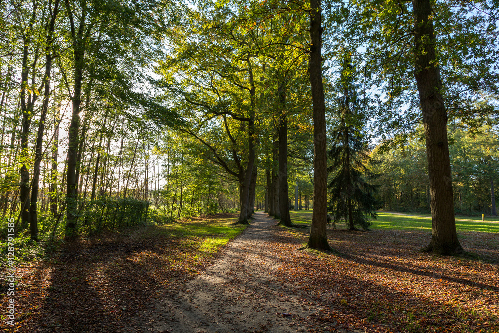 Naklejka premium Fall at Groeneveld estate in 