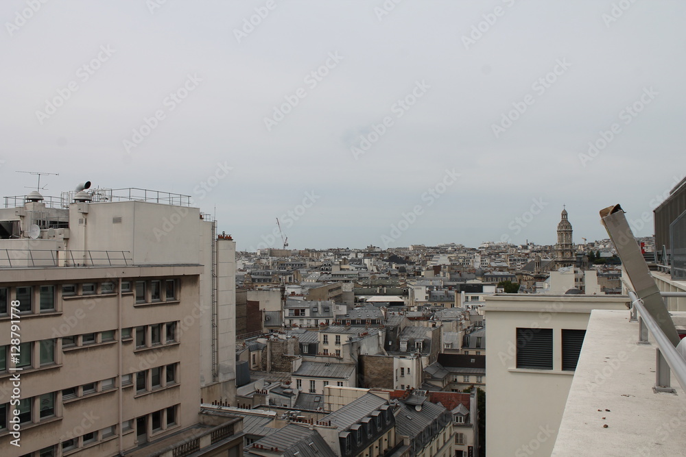Fototapeta premium Beautiful unique city of Paris in France