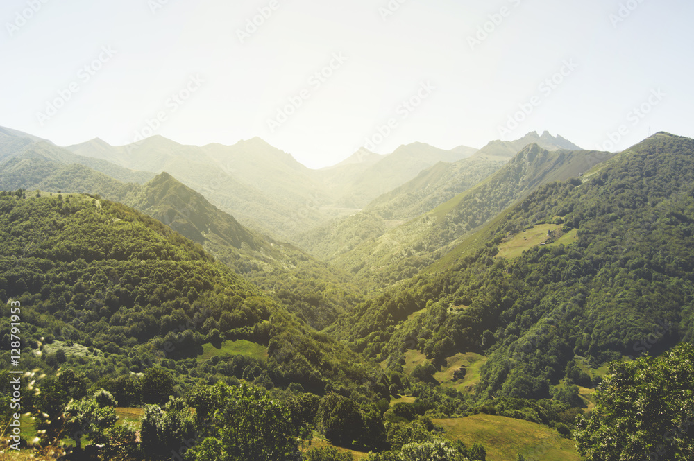 Obraz premium tree, park, green, cloud, travel, view, rock, clearing, bright, grass, wood, pine, garden, blue, beauty, mountain, sky, cliff, style, beautiful, background, nature, asturias, landscape, montain