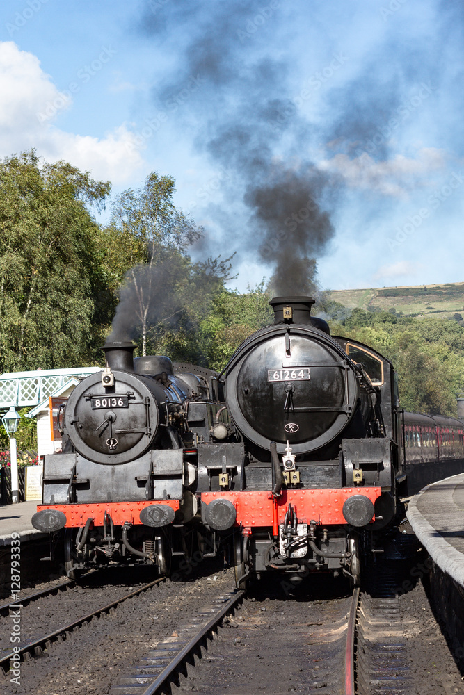Obraz premium Festiwal Steam Grosmont