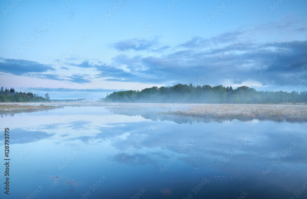 misty morning on forest lake