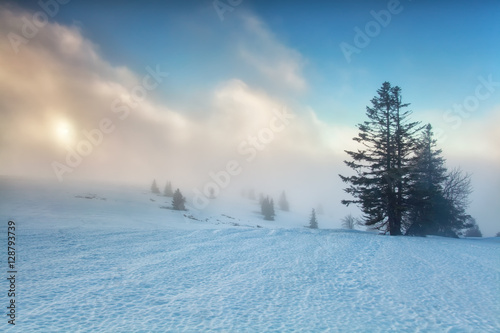 foggy sunrise on winter mountaintop