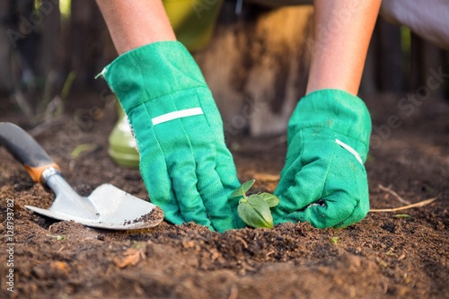 Close-up of gardener planting seedling in dirt at garden