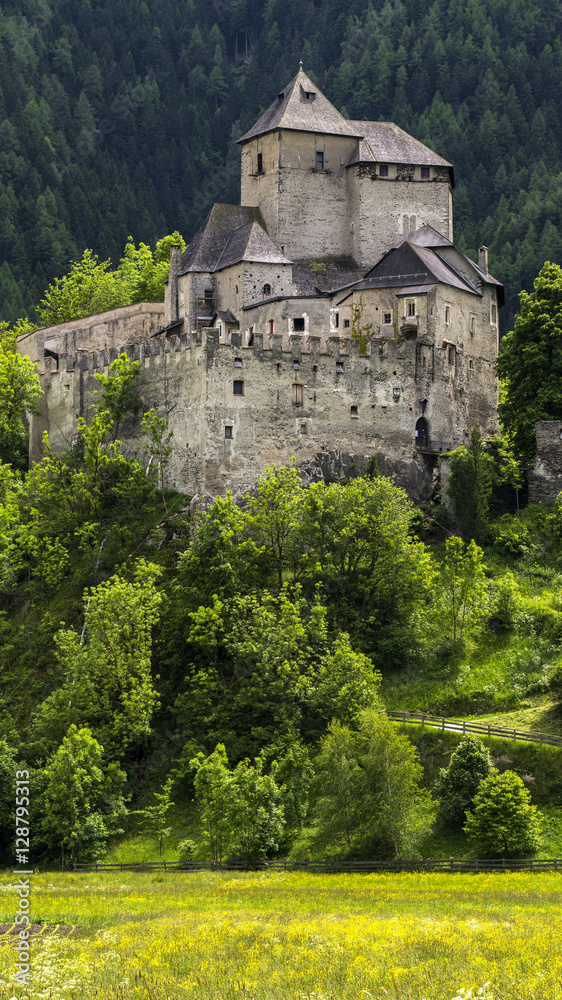 Reifenstein Castle or Castel Tasso, Vipiteno - Sterzing, South Tyrol, Italy Reifenstein Castle or Castel Tasso, Vipiteno - Sterzing, South Tyrol, Italy