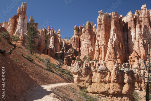 Desert Rock Formation