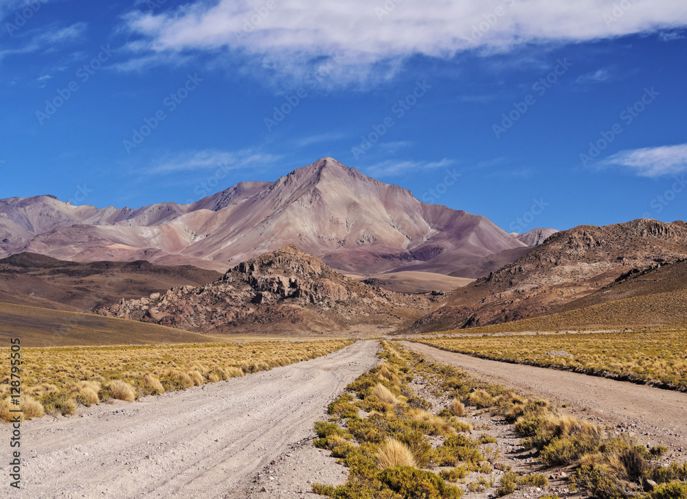 Dirt Road and Cerro Lipez, Sur Lipez Province, Potosi Department, Bolivia Dirt Road and Cerro Lipez, Sur Lipez Province, Potosi Department, Bolivia