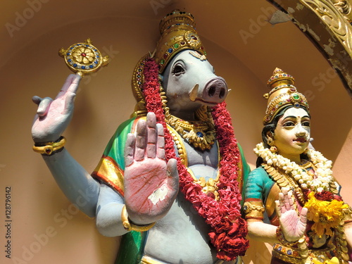 Canvas Print Lord Varaha the boar Hindu idol statue