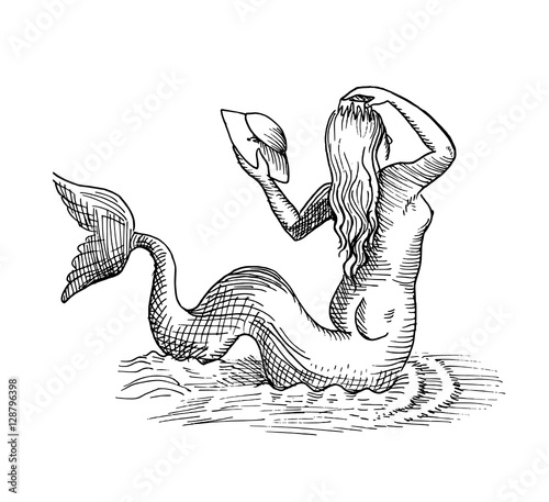 mermaid or siren
