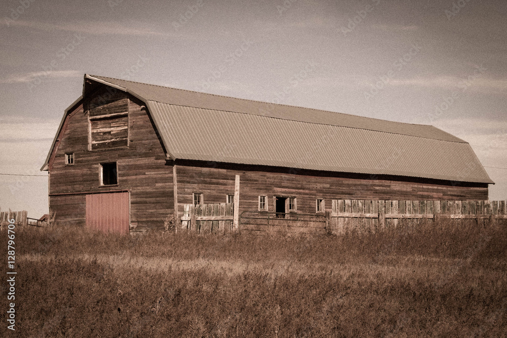 Obraz premium Barn on the Range