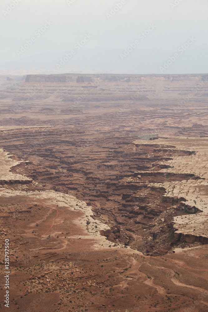 Desert Rock Formation