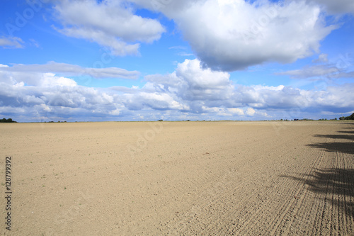 Farmland in Munsterland, Westphalia, Germany