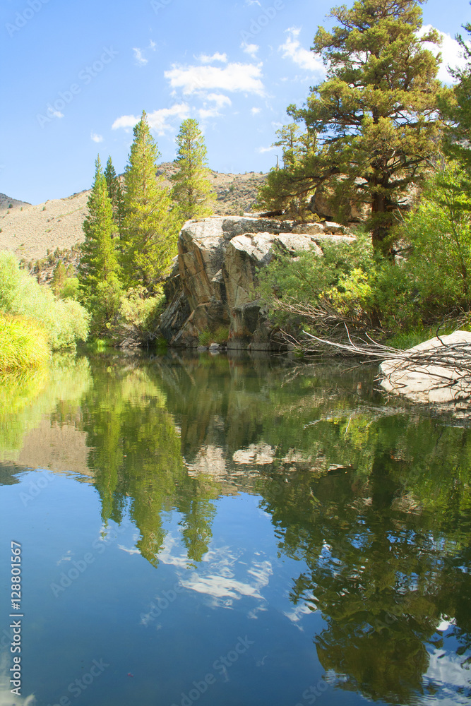 Lake Reflection