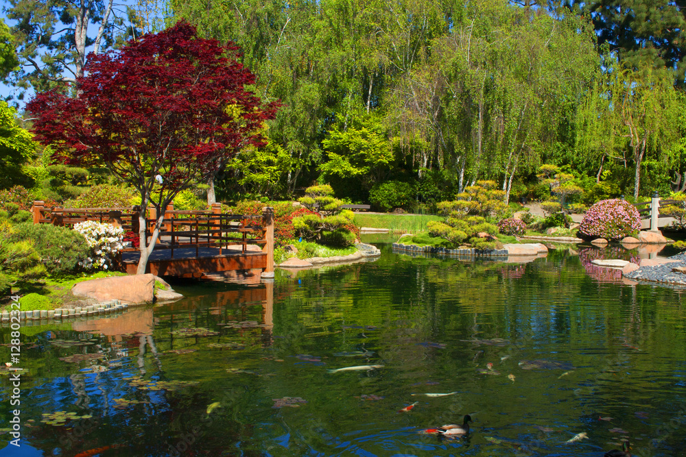 Fototapeta premium Japanese Garden