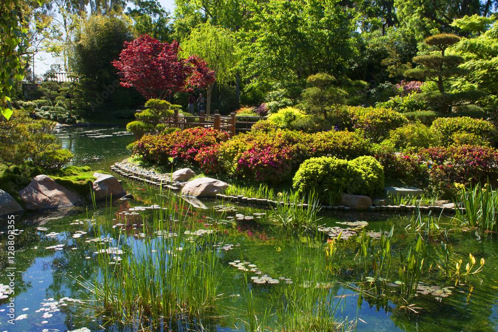 Obraz premium Japanese Garden