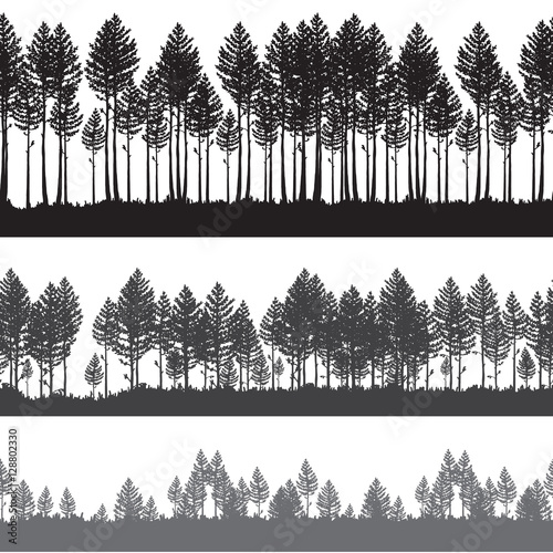 Seamless Vector pine forest landscape. Beautiful hand drawn illustration - dark forest with pine trees, outdoor scene in black and white. Repeatable right and left design