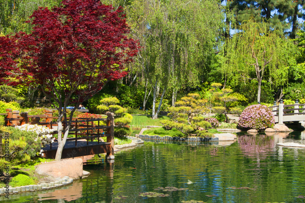 Obraz premium Japanese Garden