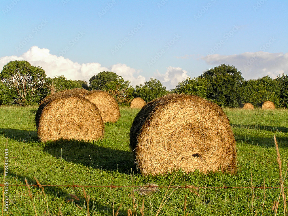 Bales of Straw in a field in France