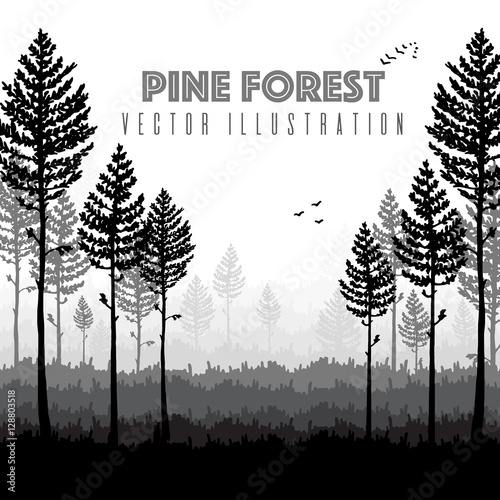 Vector pine forest landscape. Beautiful hand drawn illustration - dark forest with pine trees, outdoor scene with text. Made using clipping mask, you can change image